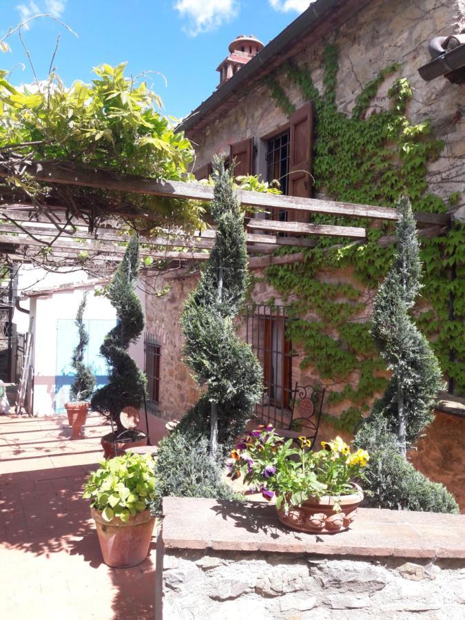 La Fiaba Konuk evi Castellina in Chianti Dış mekan fotoğraf