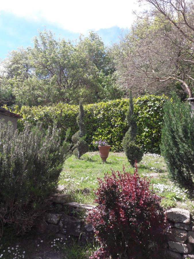La Fiaba Konuk evi Castellina in Chianti Dış mekan fotoğraf